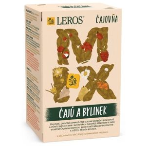 LEROS Čajovna Mix čajů a bylinek n.s.16x2g&2x2.5g - II. jakost