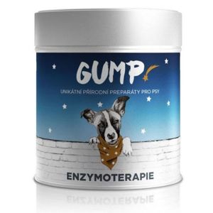 GUMP Enzymo+ tob.120 pro psy