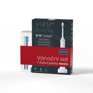 Biotter WW-Smart sonický zubní kartáček vánoční dárkové balení
